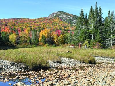 Hiking - Middle Sugarloaf foliage
