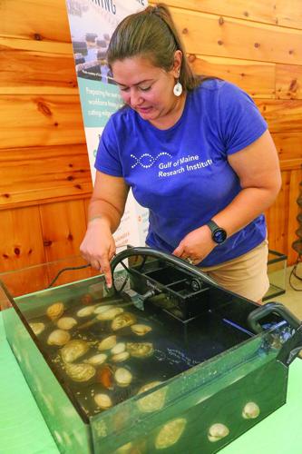 09-29-25 Fryeburg Fair discovery center oyster info