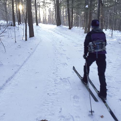 Nordic Tracks - Sally McMurdo December 2017 ski