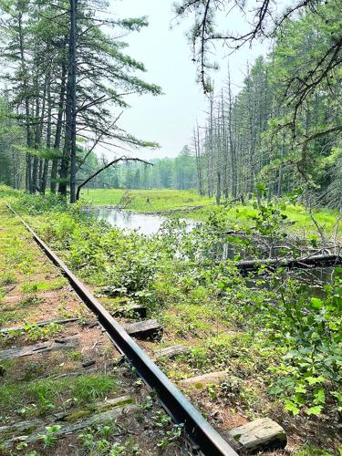 Wheel Family Fun - Xploring - railroad tracks