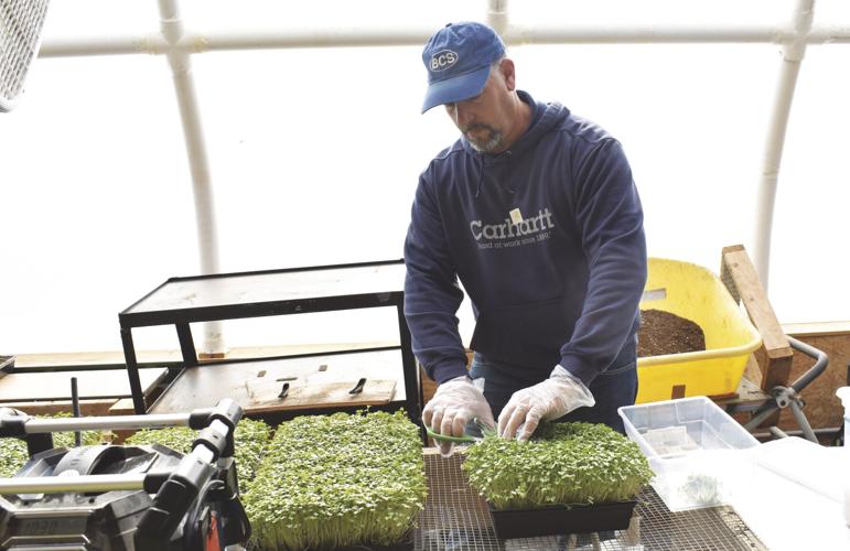 Brian Hebert Harvests Greens hori