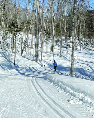Nordic Tracks - Jackson’s western side - Kellogg Trail