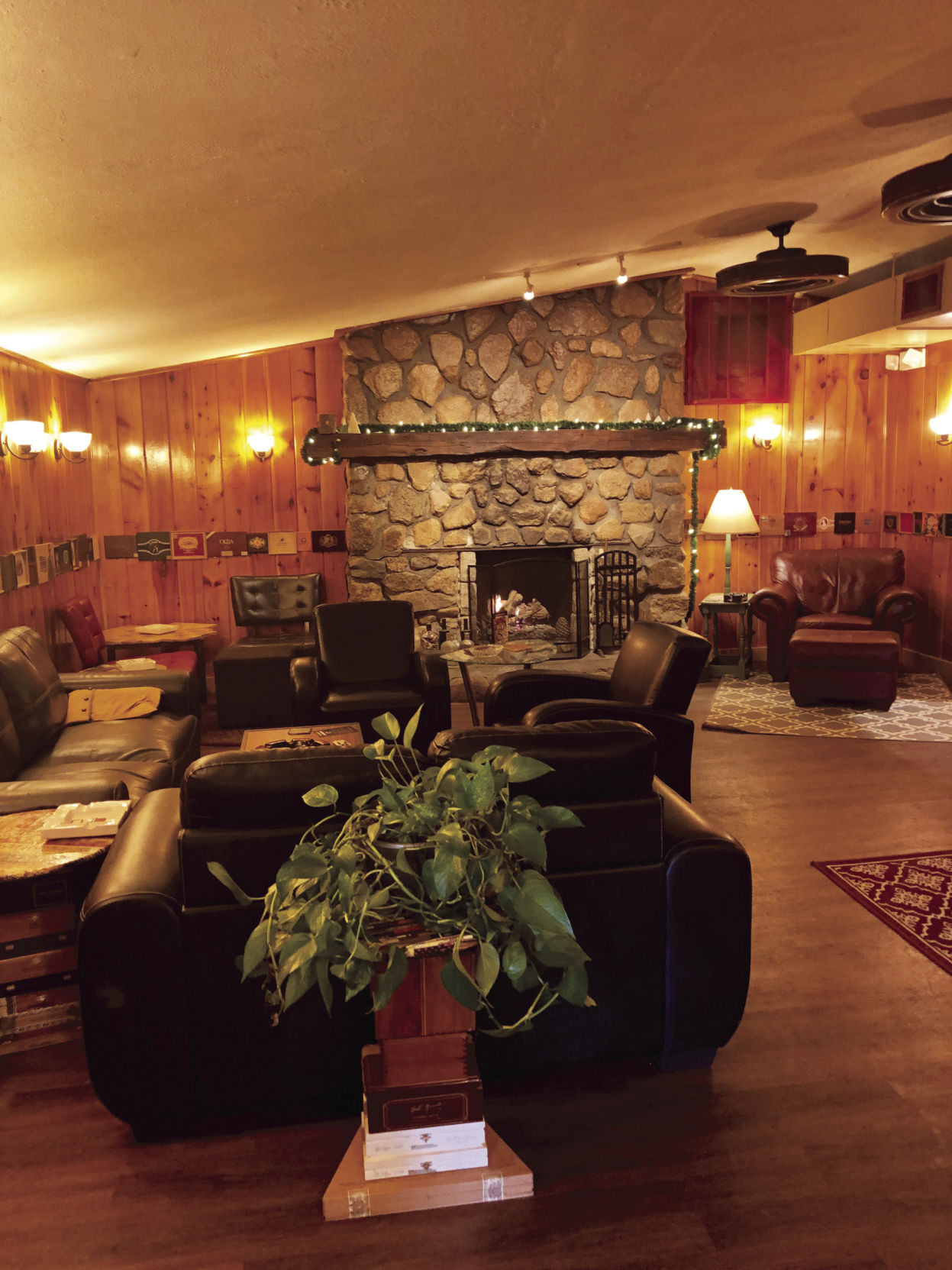 2019-04-09 Cigar Shenanigans 4.jpg