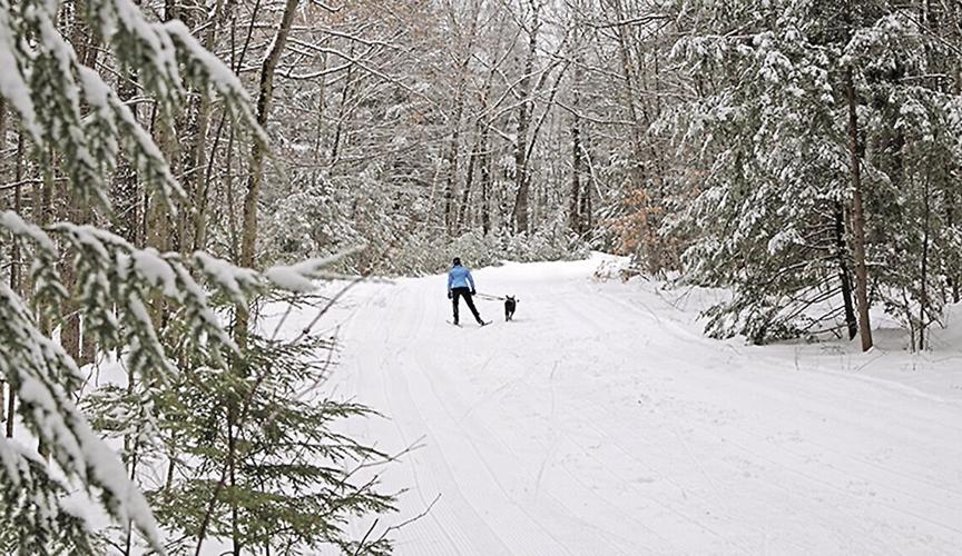 Nordic Tracks - A dog and its owner