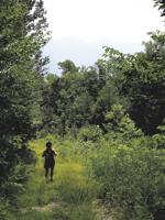 Enjoy the foliage at Moose Brook State Park