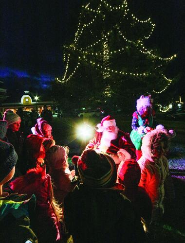 11-28-25 NoCo Tree Lighting crowding vertical