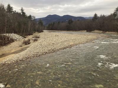 Angers - from River Street bridge in Bartlett.jpg