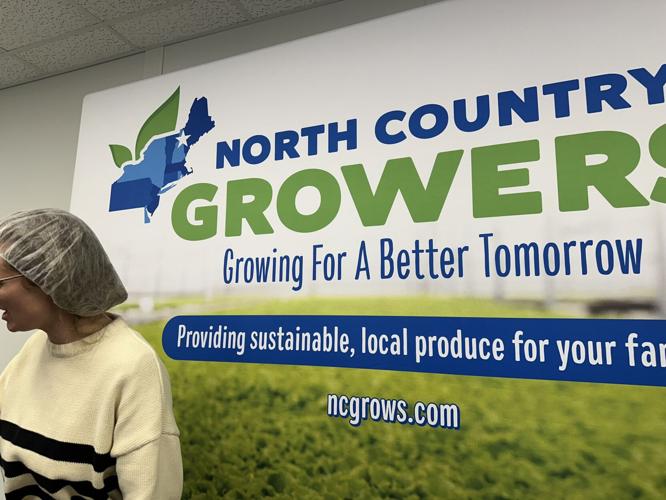 Inside the North Country Growers plant in Berlin, April 2025