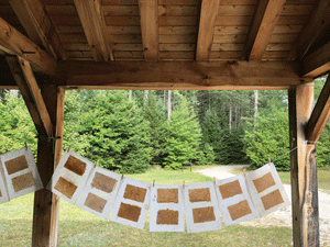 White Mountain National Forest Artist in Residence program seeks applications for 2020