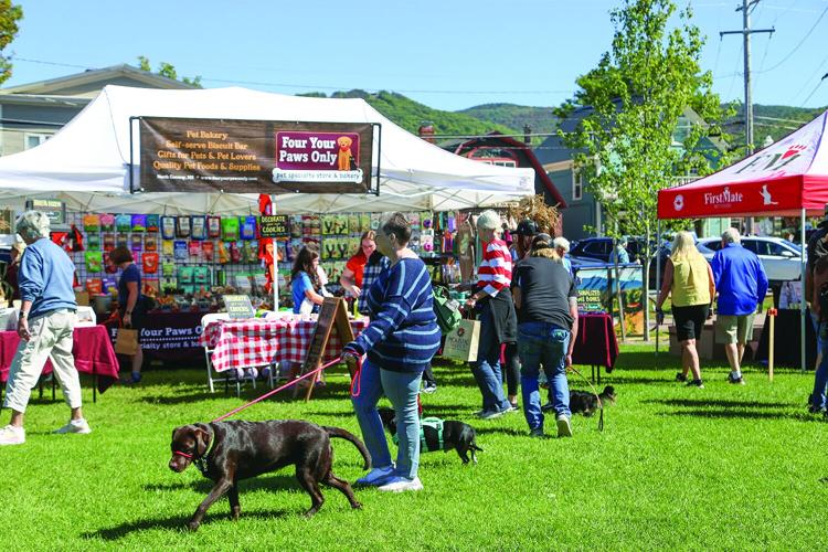 09-19-26 Bark in the Park tents fypo