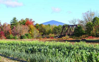 10-09-25 Foliage mtn view from field