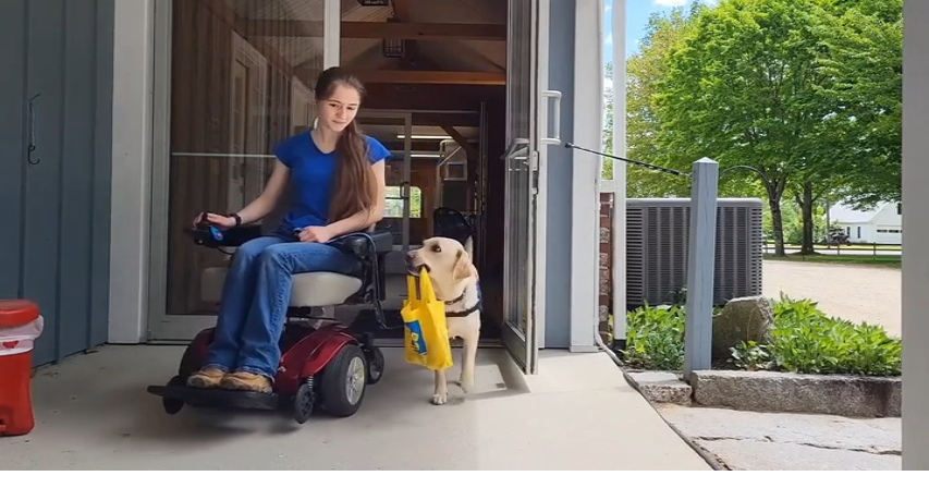 In The Press Box: With Kathy Metz, Marina Legere and Brooke Matarese from ACTS dog training services