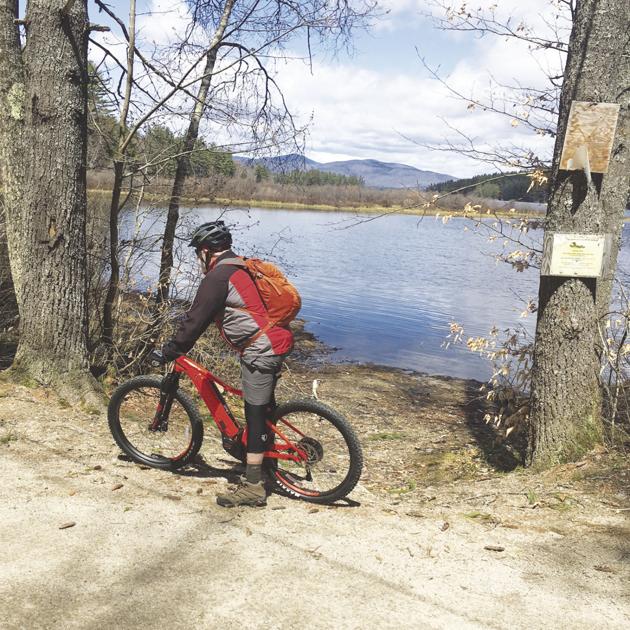 Wheel Family Fun: Pedaling Up and Down Potter Road