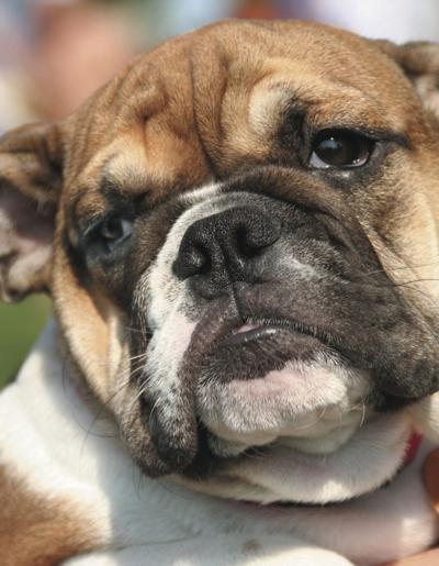 Cheers to the December Bereaved