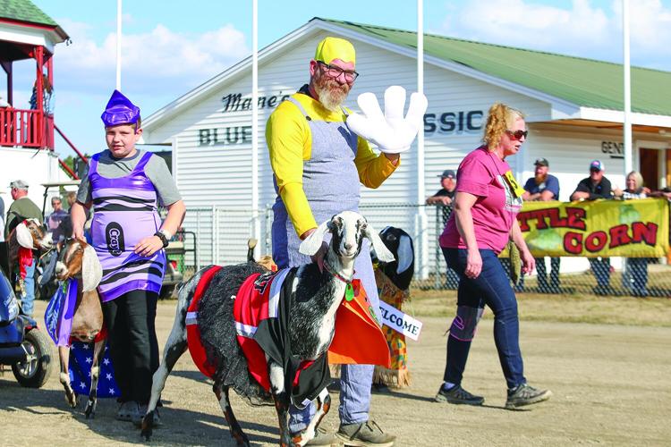 10-04-25 Fryeburg Fair goat costumes