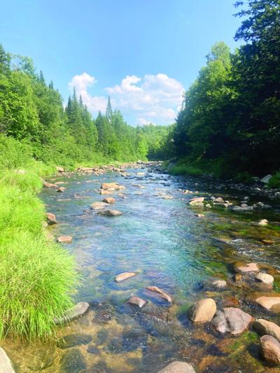 North Country Angling - open spaces