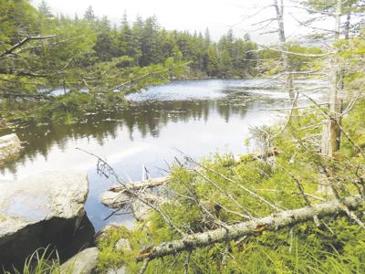 8-6-2022 Parsons-Lost Pond
