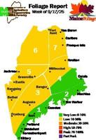 Warm Temps Slows Foliage