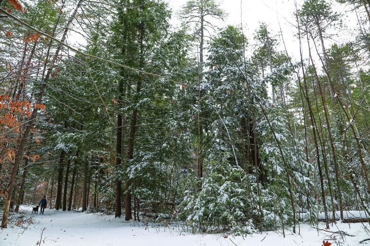 12-01-25 Snow whitaker wide 2