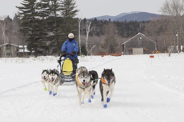 02-05-23 Sled Dogs first finisher semi-wide