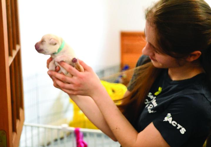 ACTS - puppy raisers - Marina Legere with a five-day-old puppy