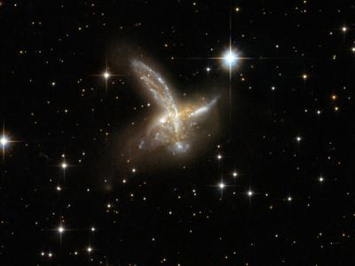 birdgalaxy_featured