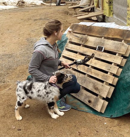 Grace Castoguay remote lacrosse