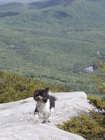Mount Cube: A favorite from '52 with a View'