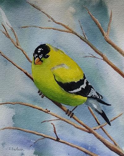 Goldfinch by Sarah Eastman