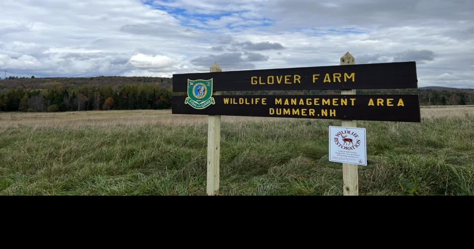 Glover Farm property in Dummer permanently protected News