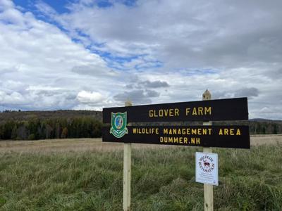 Glover Farm property in Dummer permanently protected