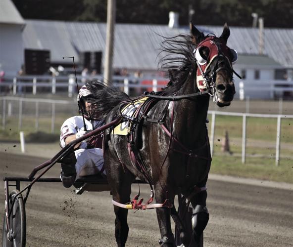 Fair 2022 by Elizabeth Andrews (10).jpg