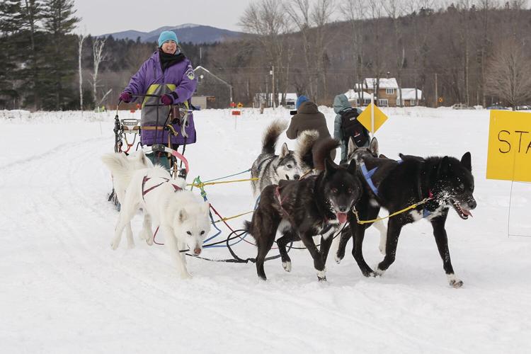 02-05-23 Sled Dogs low semi-wide