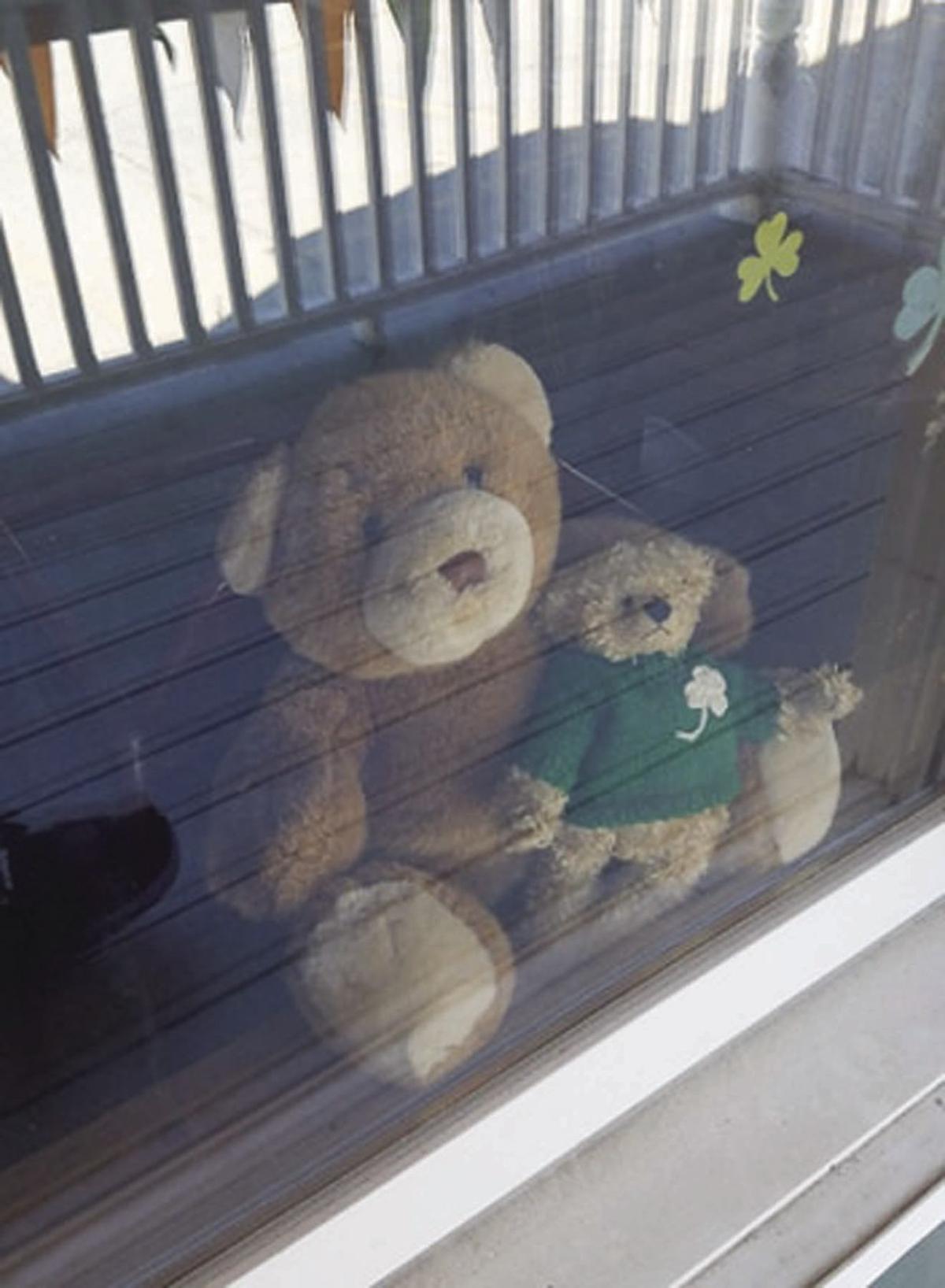 Bored Take Kids On A Teddy Bear Hunt Local News Conwaydailysun Com