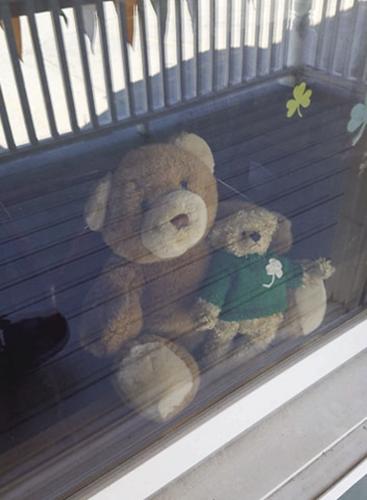 Teddy Bears shannon Door 2