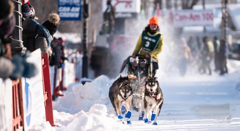 Manikian becomes first woman to win Can-Am 100-mile sled dog race