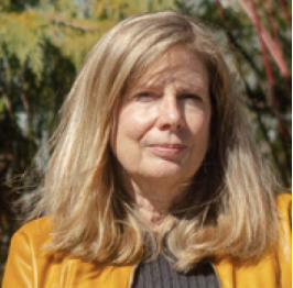 Art historian traces Old Man of the Mountain's cultural history