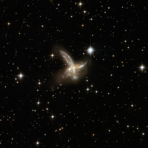 Astronomers reveal two galaxies that resemble bird in flight