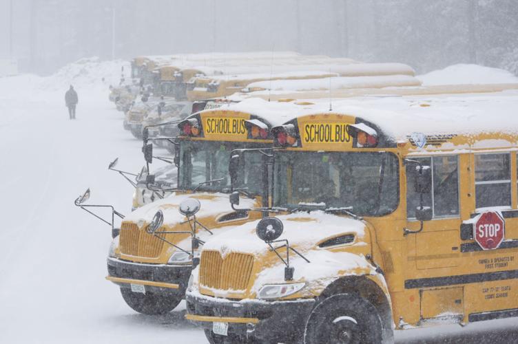 buses