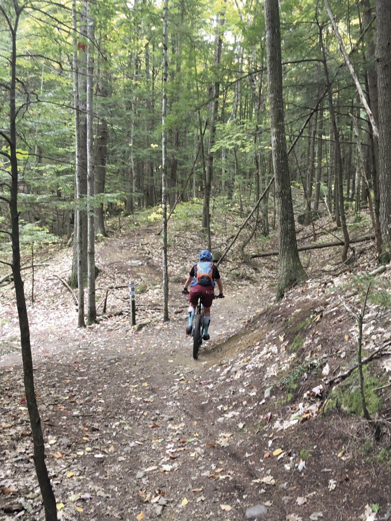 WHEEL FAMILY FUN - Marshall Conservation Area