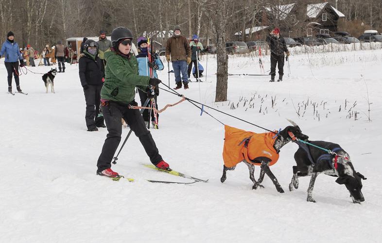 02-05-23 Sled Dogs medium skier starting