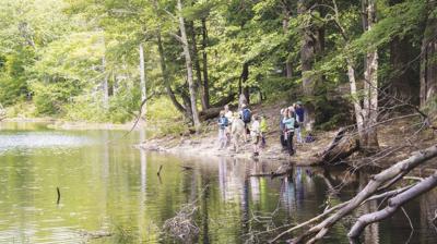 Chocorua Lake Conservancy's Bolles Reserve Exploration