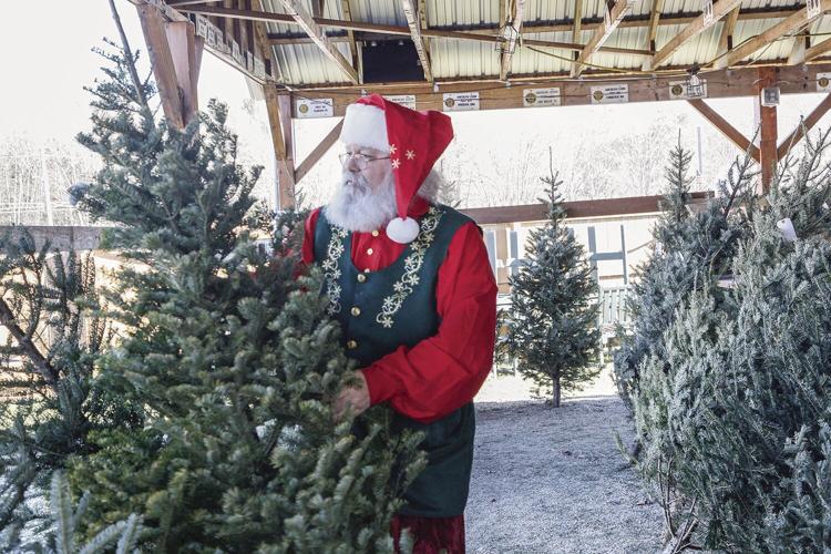 12-13-22 Legion Trees santa fixing tree