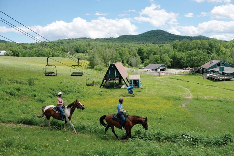 6-20-17 Black Mt horses 1.jpg