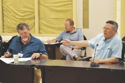 Budget committee angers diregorio