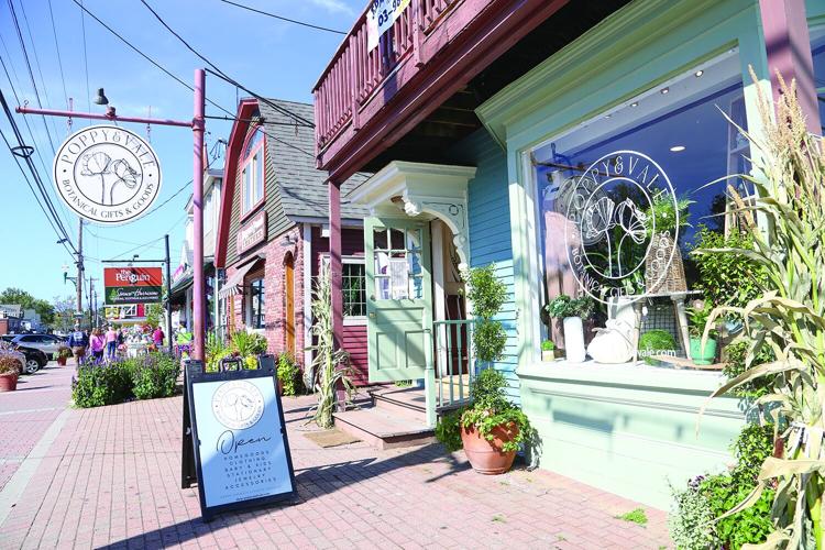 09-16-25 Poppy and Vale outside