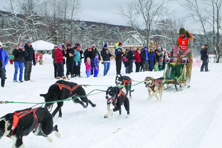 02-21-26 TOC Sled Dog crowd behind 2