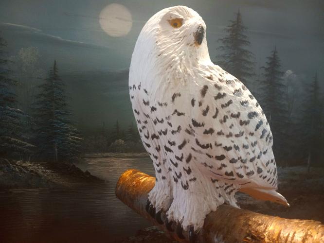 Claude Pigeon carved this snowy white owl
