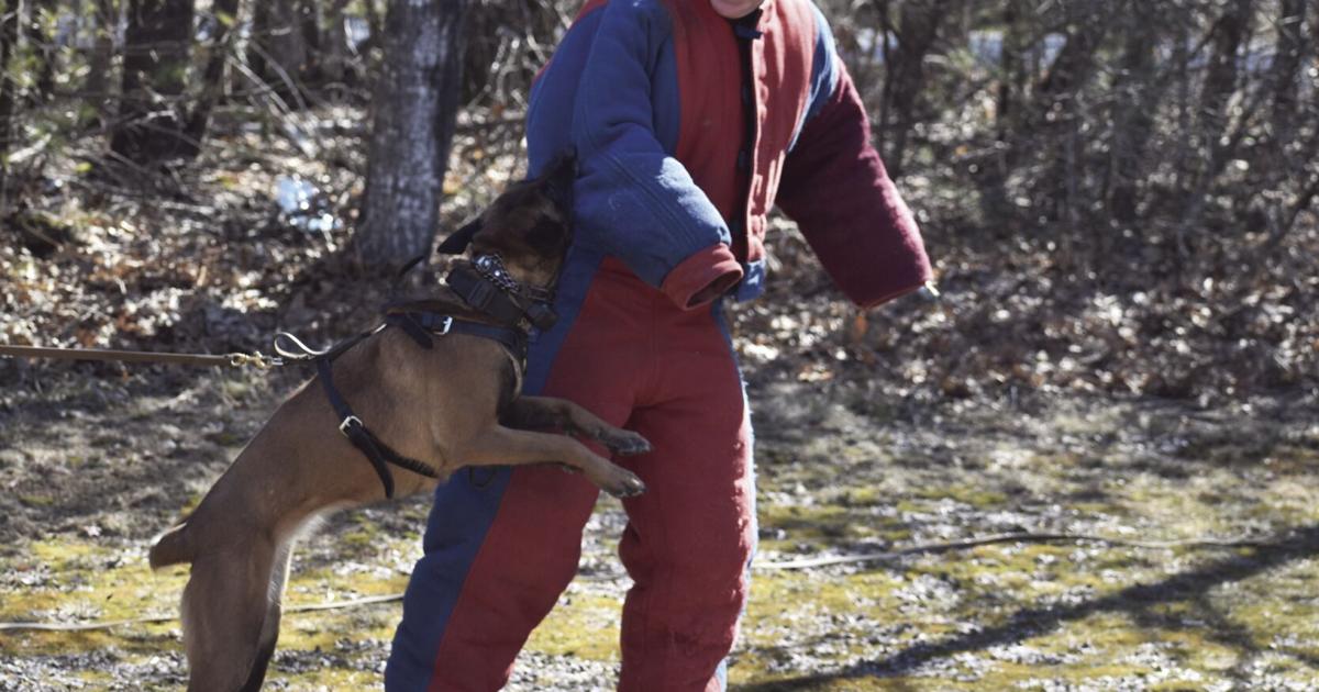 Christopher Railsback Kennett criminal justice class gets real world lessons | Local News ...