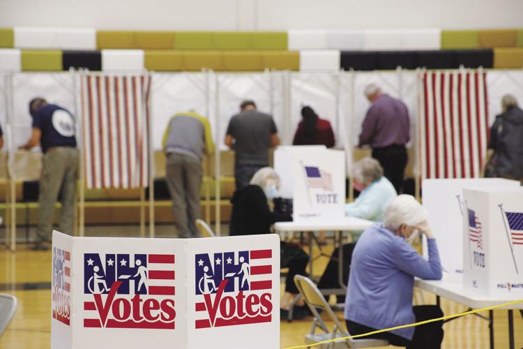 04-13-21 Voting voters "NH votes" wide